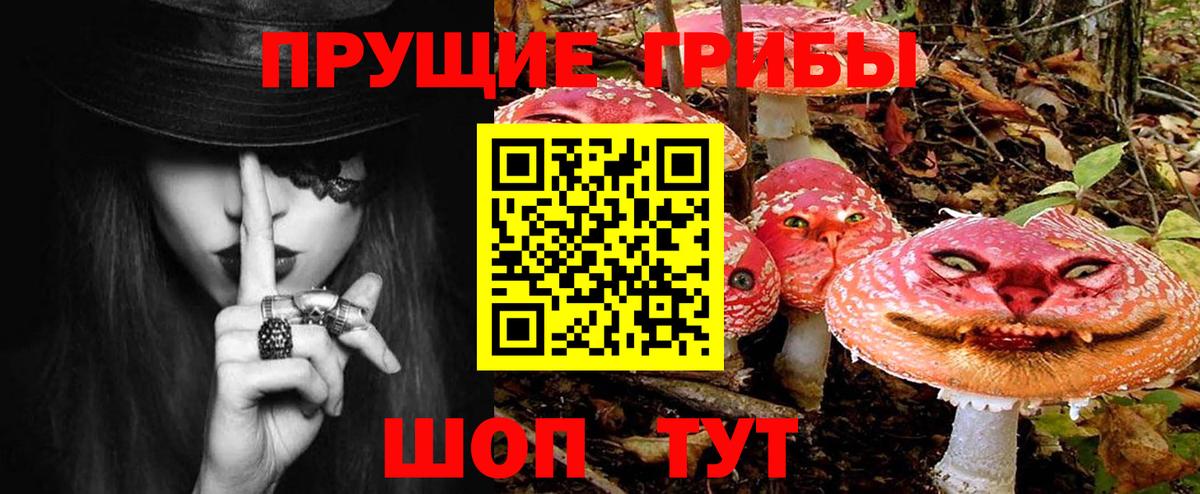 Псилоцибиновые грибы ЛСД  Вход с VPN  Тимашёвск  Галлюциногенные грибы мицелий 