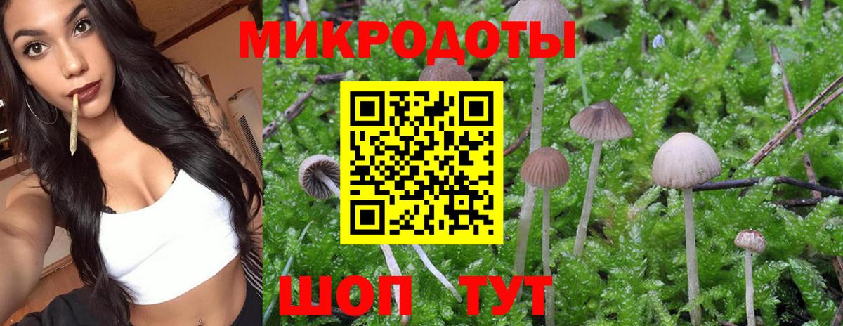 Галлюциногенные грибы Cubensis Тимашёвск